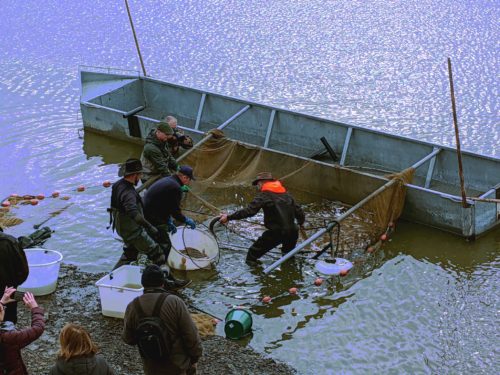 la Grande pêche de l’Étang de lindre