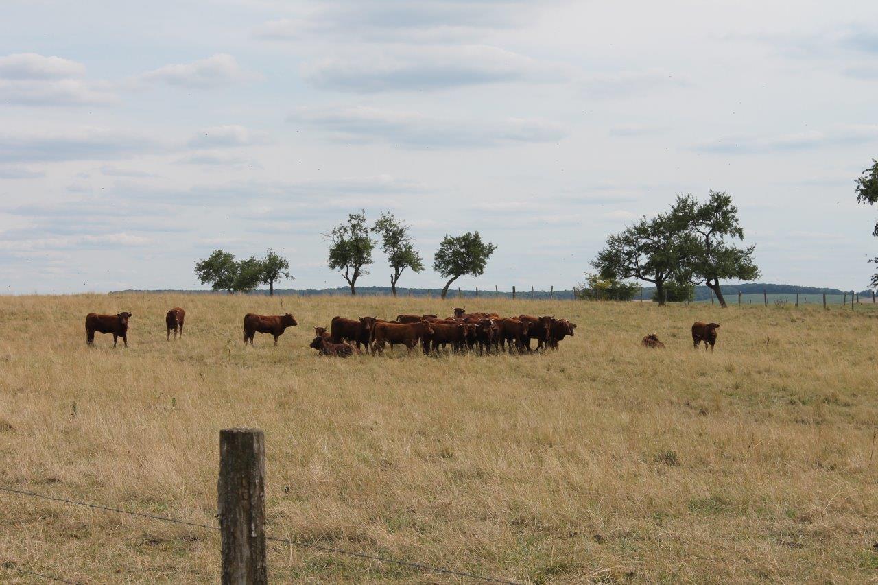 Les missions de la réserve de biosphère Réserve de Biosphère de