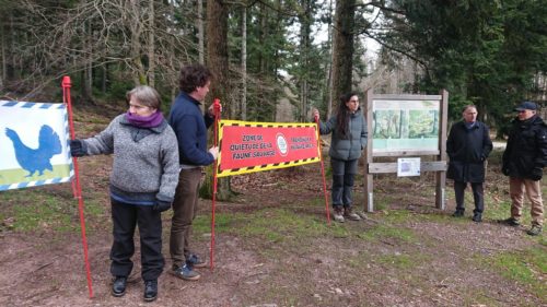 Formation des équipes touristiques aux enjeux de biodiversité dans le massif