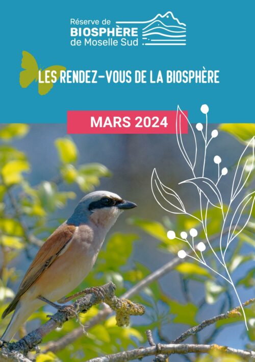 Programmation mars 2024