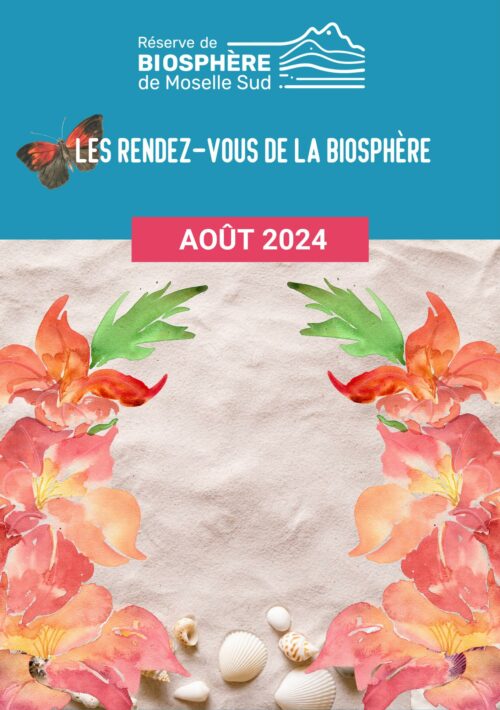 Programmation Août 2024