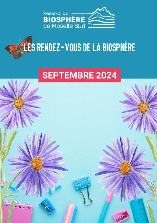 Programmation Septembre 2024