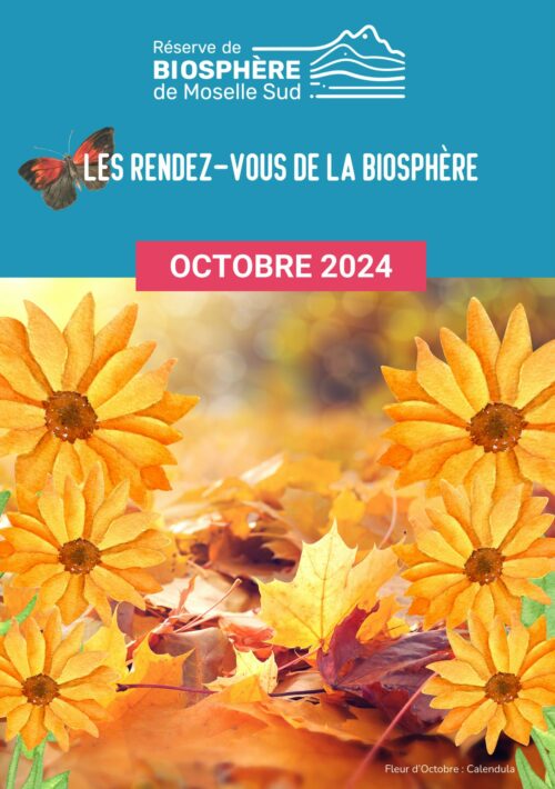 programmation octobre 2024