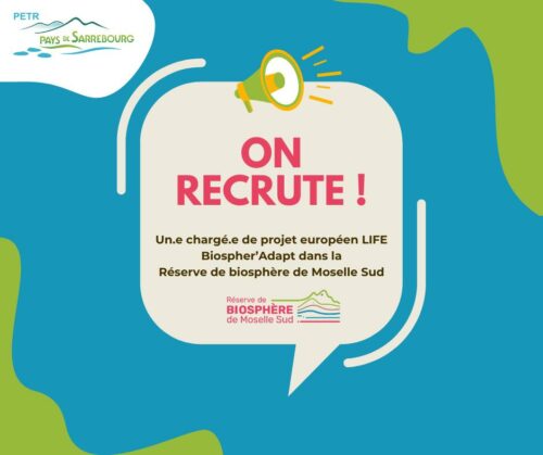 Offre d’emploi