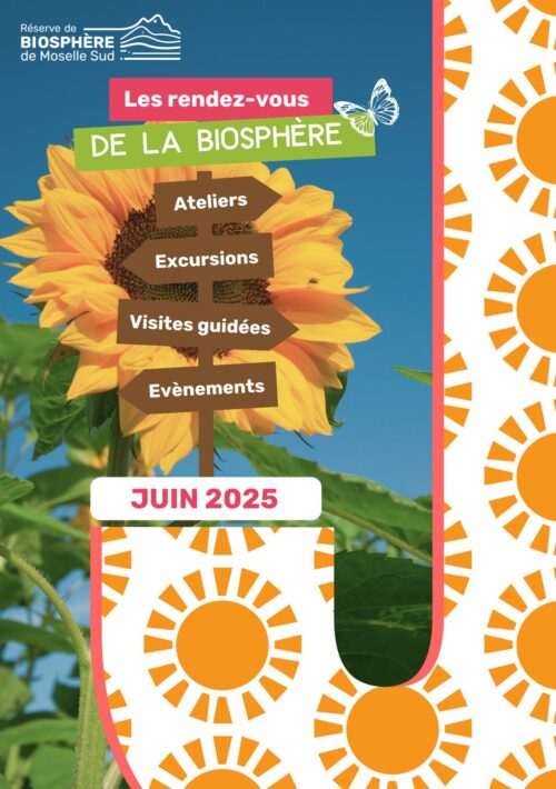 Programmation juin 2025