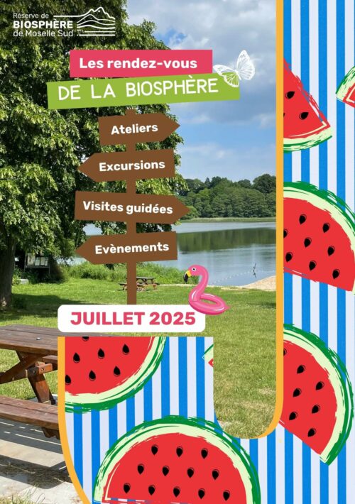 Programmation Juillet 2025
