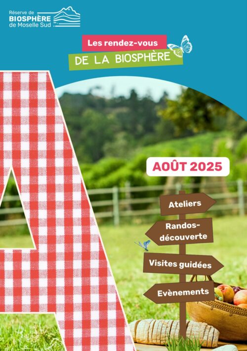 Programmation Août 2025