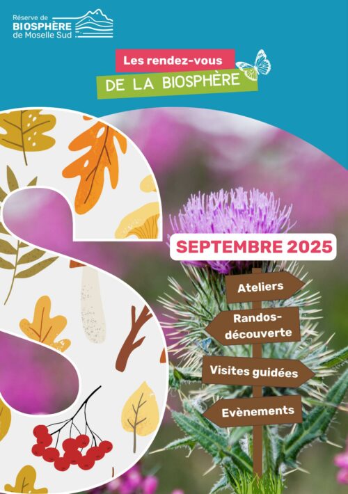 Programmation Septembre 2025