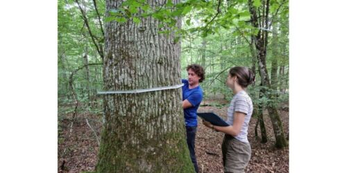 Atlas de la biodiversité : Un projet qui arrive à sa concrétisation !