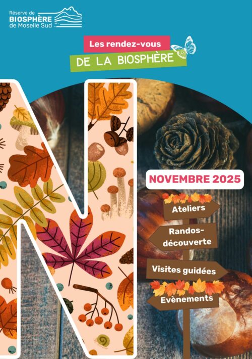 Programmation Novembre 2025