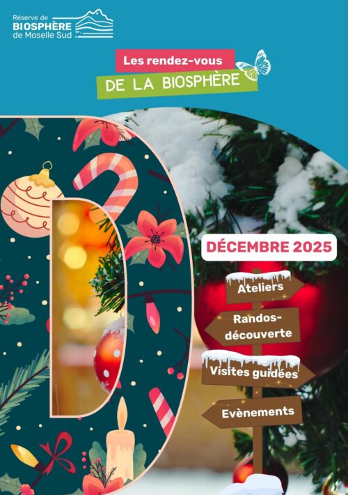 Programmation Décembre 2025
