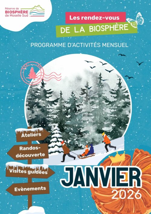 Programmation Janvier 2026