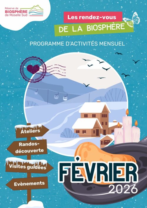 Programmation Février 2026
