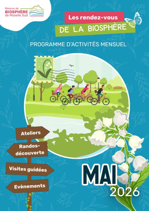 Programmation Mai 2026