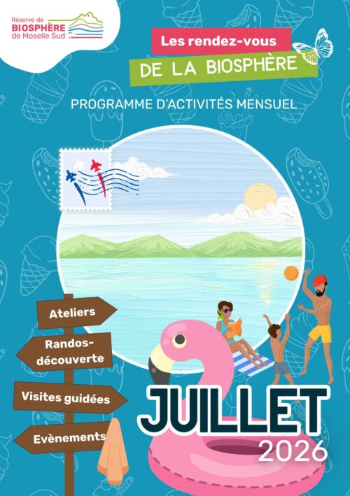 Programmation Juillet 2026