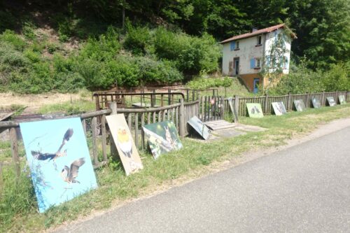 Journée ABC DAY