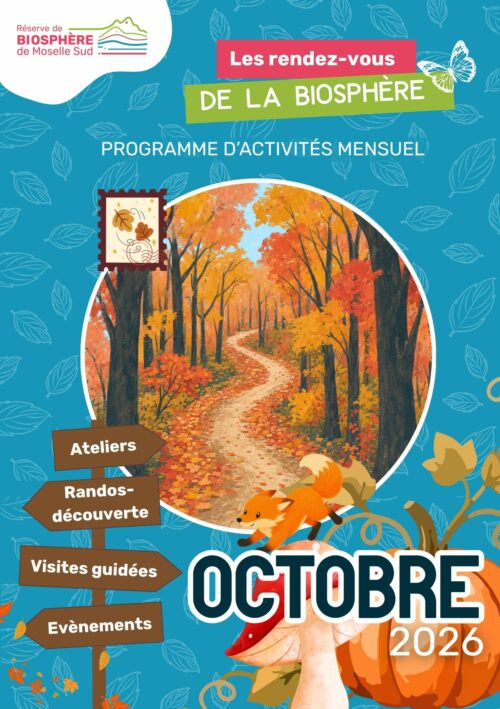 Programmation Octobre 2026