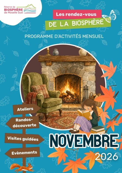 Programme Novembre 2026